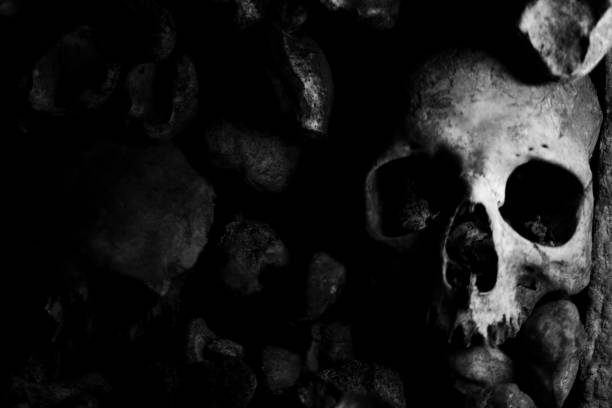 istock Catacomb dead human head skull black and white 1270593177