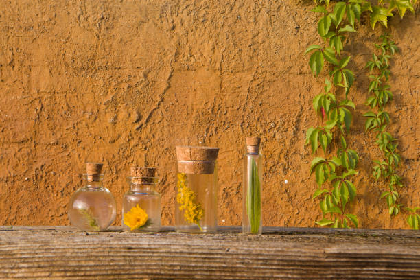ハーブ、新鮮な花とエッセンシャルオイルのボトル。バッハセラピー - aromatherapy oil massage oil alternative therapy massaging ストックフォトと画像