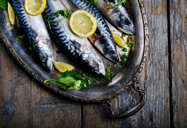 istock Fresh mackerels in silver plate from above 1270593275