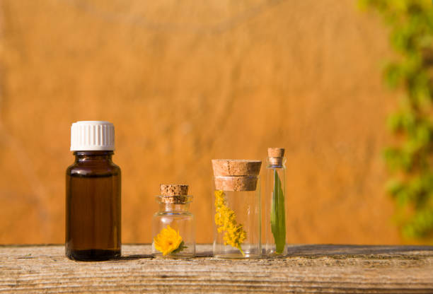 istock Spa set with, essential oils in bottles, herbs and flower. Space for your text 1270593363