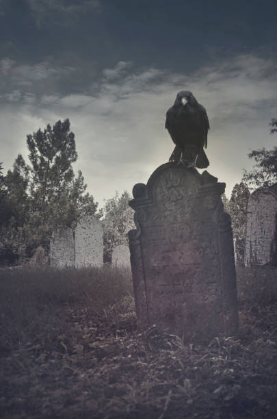 istock Halloween poster with scary raven standing on tombstone. 1270594798