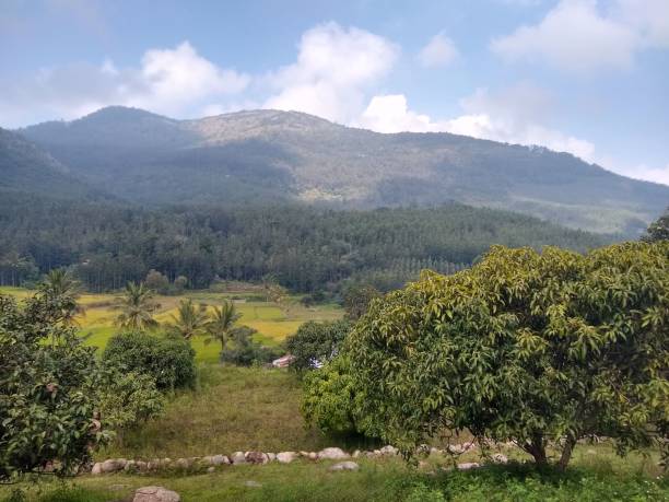 istock Hills of Yercaud 1270595625