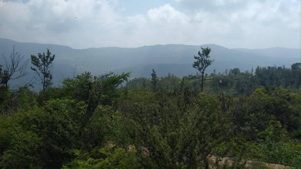 istock Hills of Yercaud unexplored 1270595727