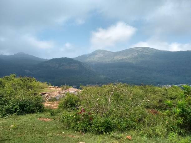 Hills of Yercaud