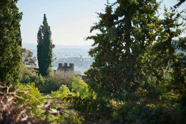 istock Convent of Christ Tomar 1270596370