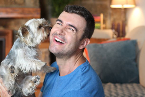 istock Cute dog licking man´s face 1270596918