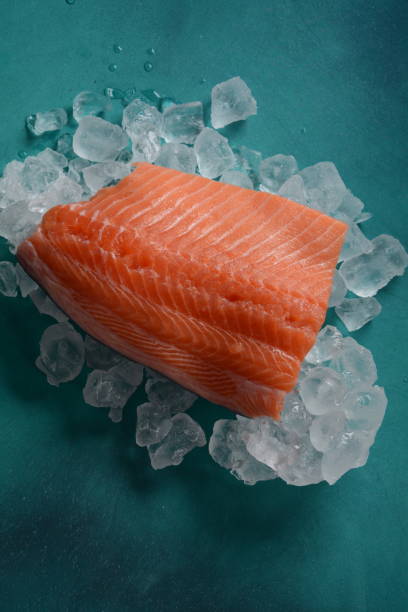 istock Raw salmon fillet on ice background 1270596930