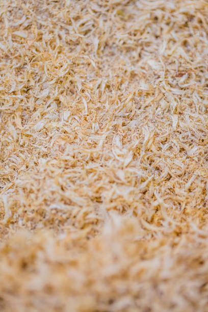 A big pile of sawdust on the ground