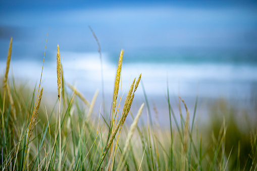 Extreme close-up of sand dunes at the beach in Northumberland.