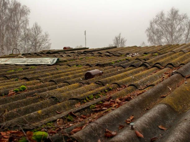 istock green moss on a slate roof 1270604756