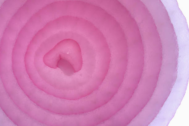 istock concentric circles of a freshly sliced onion 1270607972