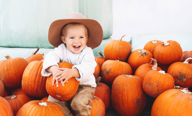 kind pflücken kürbisse am kürbispflaster. nettes kleines kind gekleidet wie ein bauer spielt unter squash auf dem bauernhof markt. - pumpkin child little girls pumpkin patch stock-fotos und bilder