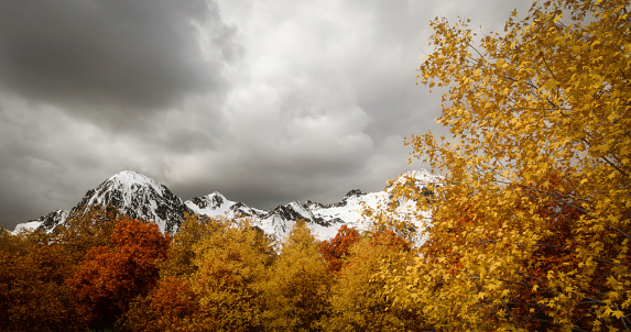Digitally generated beautiful autumn landscape/scenery on a cloudy day with multi colored deciduous trees and snow capped mountains in the background.\n\nThe scene was rendered with photorealistic shaders and lighting in Autodesk® 3ds Max 2020 with V-Ray 5 with some post-production added.