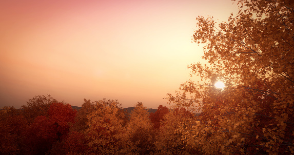 Digitally generated beautiful autumn landscape/scenery with multi colored deciduous trees at sunset.

The scene was rendered with photorealistic shaders and lighting in Autodesk® 3ds Max 2020 with V-Ray 5 with some post-production added.