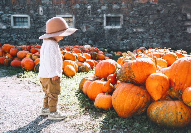 istock Child picking pumpkins at pumpkin patch. Cute little child dressed like a farmer playing among squash at farm market. 1270608721