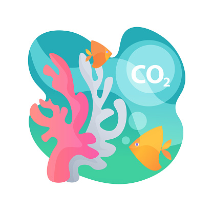 Ocean acidification abstract concept vector illustration. Environmental change, water acidification, ocean plastic pollution, carbon dioxide absorption, seawater contamination abstract metaphor.