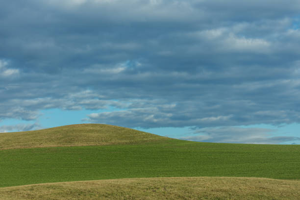 istock green landscape with hills and clouds 1270609830