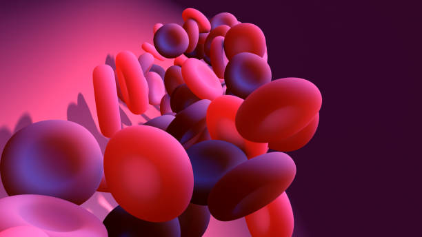 istock Red blood cell circulating in the circulatory system, veins, arteries and capillaries 1270609976