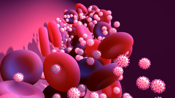 istock Coronavirus or virus that circulates in the blood through the circulatory system in the human body to infect organs 1270610061