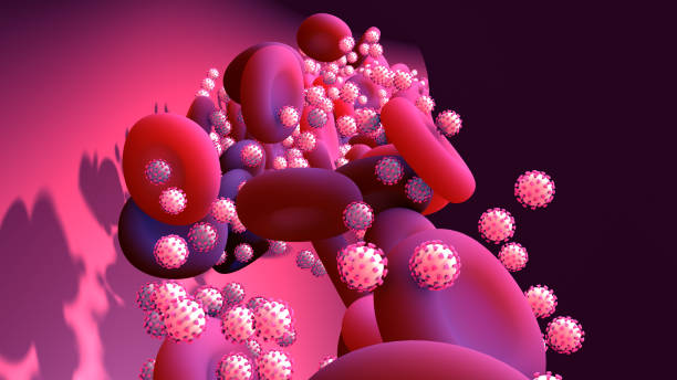 istock Coronavirus or virus that circulates in the blood through the circulatory system in the human body to infect organs 1270610092