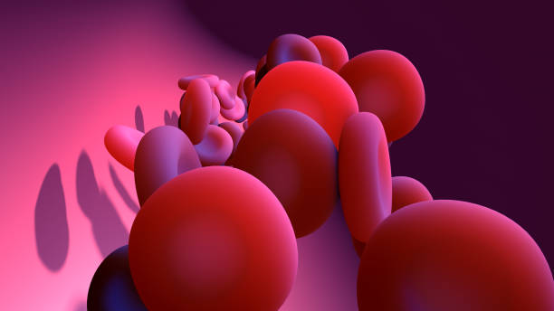 istock Red blood cell circulating in the circulatory system, veins, arteries and capillaries 1270610130