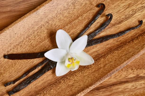 Vanilla bean Vanilla beans on a wooden background vanilla orchid stock pictures, royalty-free photos & images