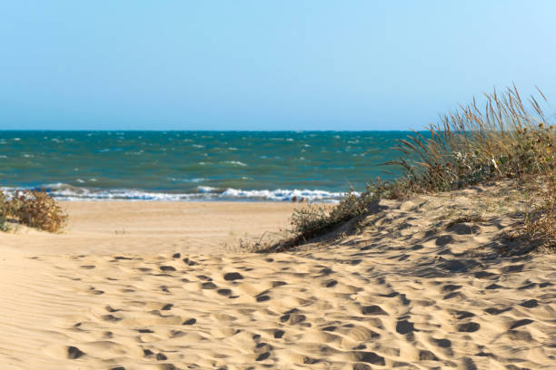 istock Typical access road to the beach created by the fine sand dunes in southern Spain. 1270615621