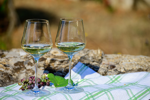 Summer picnic or outdoor lunch with tasting of white wine on green vineyards in Lazio, Italy
