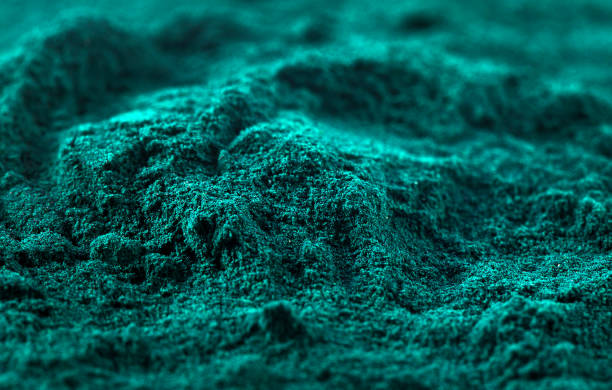 Heap of spirulina algae powder