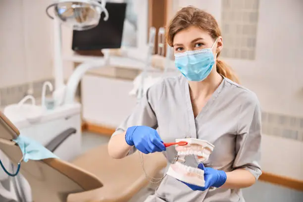 Professional female dentist wearing a facial mask holding clay teeth model and a tooth-brush during a dental hygiene demonstartion