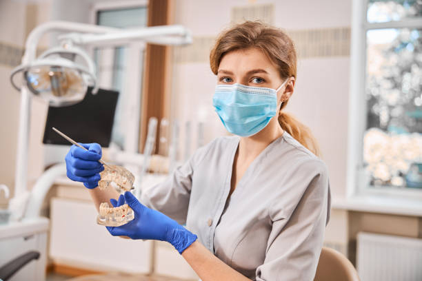 Teeth anatomy explained for better dental care