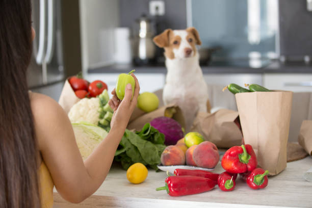 istock young woman unbagging healthy groceries in kitchen 1270618431