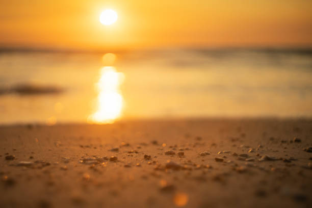 istock Tropical beach with smooth wave and sunset sky abstract background. Copy space of business summer vacation and travel adventure concept. 1270618867