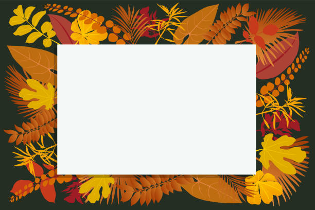 ilustrações, clipart, desenhos animados e ícones de fundo branco cercado por diferentes folhas de outono para escrever uma mensagem sobre o tema da natureza. - flower backdrop nature leaf