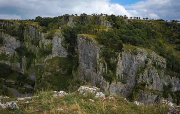 Cliffs of Cheddar Gorge from high viewpoint. High limestone cliffs in canyon in Mendip Hills in Somerset, England Cliffs of Cheddar Gorge from high viewpoint. High limestone cliffs in canyon in Mendip Hills in Somerset, England, UK cheddar gorge stock pictures, royalty-free photos & images