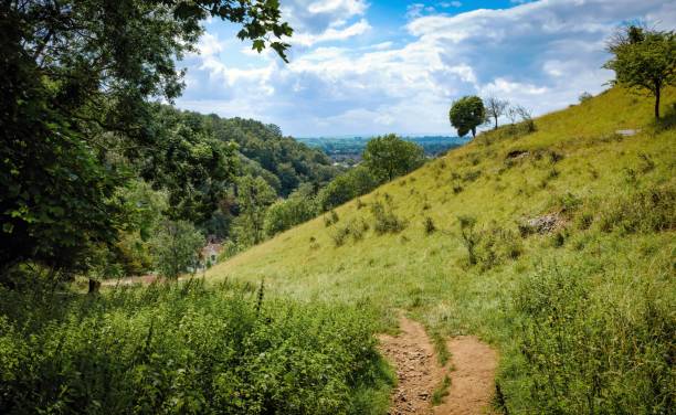 Cliffs of Cheddar Gorge from high viewpoint. High limestone cliffs in canyon in Mendip Hills in Somerset, England Cliffs of Cheddar Gorge from high viewpoint. High limestone cliffs in canyon in Mendip Hills in Somerset, England, UK cheddar gorge stock pictures, royalty-free photos & images