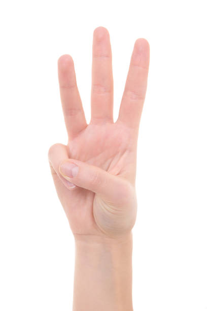 istock isolated female hand showing the number three 1270623017