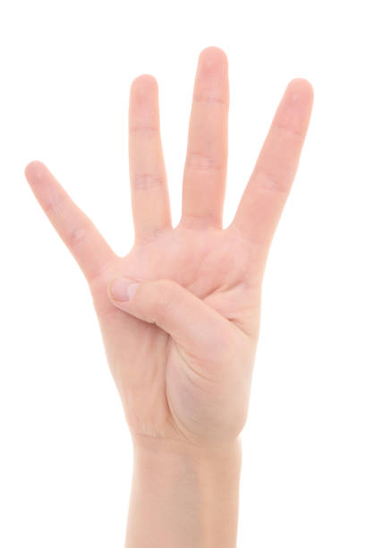 istock isolated female hand showing the number four 1270623025