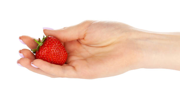 istock hand holding a strawberry isolated on white background 1270625225