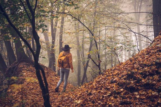 istock Woman hiking in autumn forest 1270627056