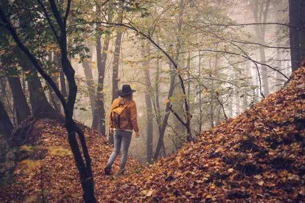 Hiker with backpack walking in fog at forest. Hiking in autumn woodland