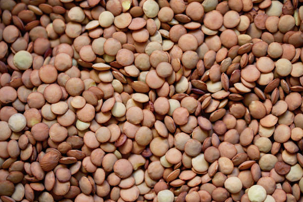 pile lentil background. top view. flat lay. vegetarian and vegan diet. high content of b vitamins in lentils. healthy superfood - lentil full frame macro close up imagens e fotografias de stock