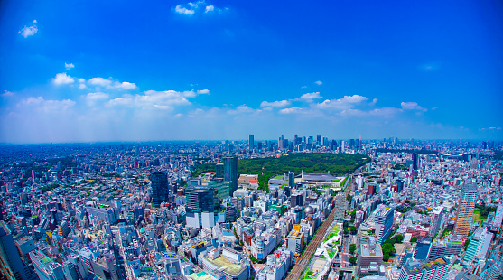 A panoramic cityscape at the urban city in Tokyo high angle. Shibuya district Tokyo / Japan - 08.03.2020