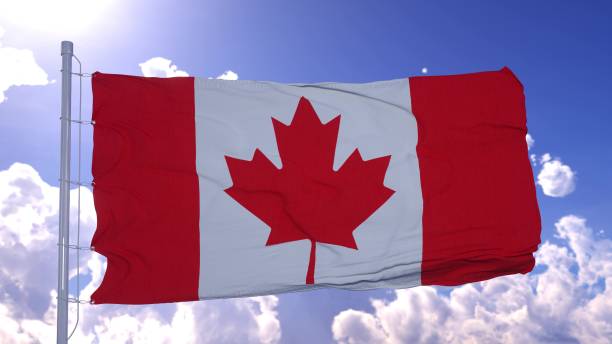 istock Flag of Canada also known as the maple leaf fluttering in the breeze. 3d illustration 1270627962