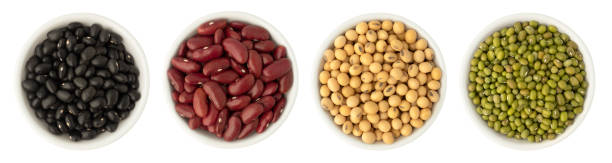 istock Collection set of beans in circle shaped ceramic bowls isolated on white background. Various beans (black, red, soybeans, mung bean). Mix beans healthy ingredients food. 1270628401