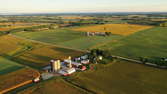 Vista aérea de granja, graneros rojos, campo de maíz en septiembre. Temporada de cosecha. Paisaje rural, campo americano. Mañana soleada photo