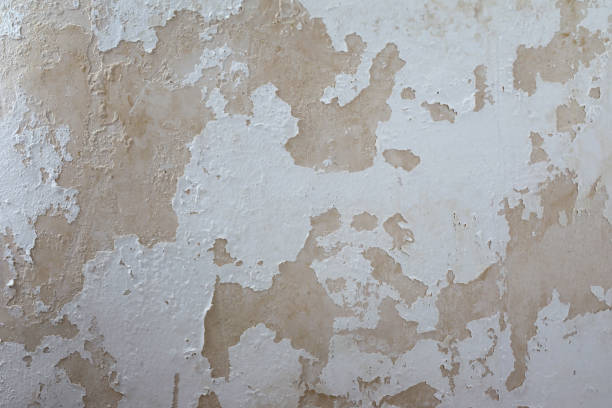 Grunge Concrete Wall Background Grunge Concrete Wall Background peeling off stock pictures, royalty-free photos & images