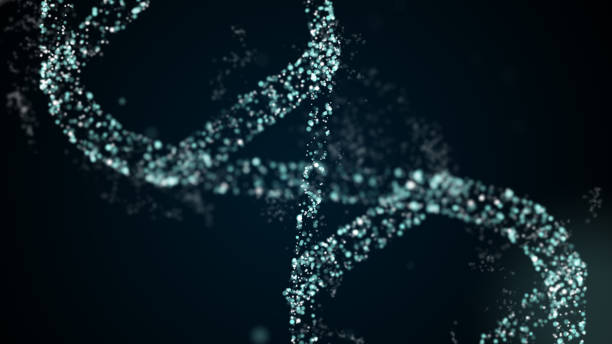 . Diagonal view on insertion of new segements into DNA spiral structure. Diagonal view on insertion of new segements into DNA spiral structure. DNA editing concept crispr photos stock pictures, royalty-free photos & images