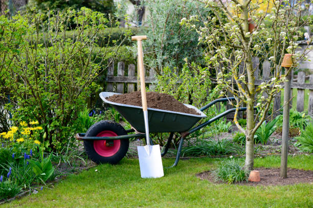 Wheelbarrow with compost stock photo
