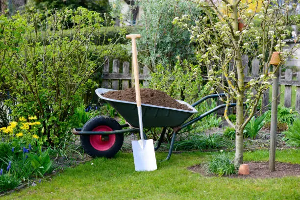 Wheelbarrow with compost for the flowerbeds